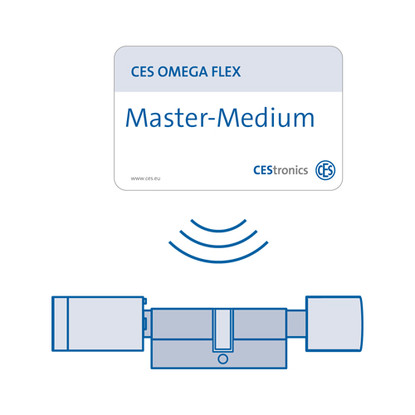 Offline programming with master media